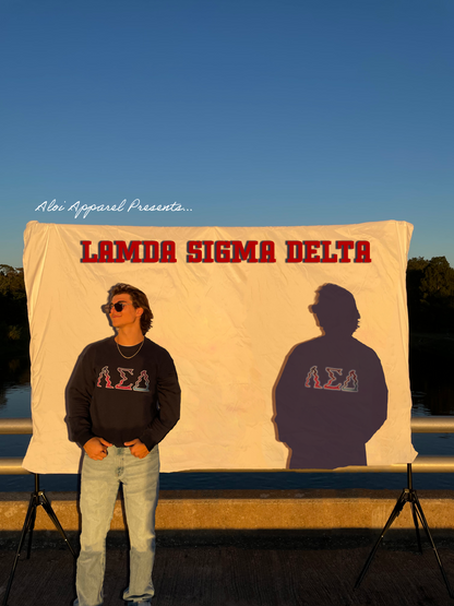 LSD Cosmo Sweater
